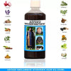 Adivasi Neelabari Herbal Hair Oil