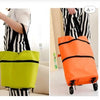 Trolly Bag Assorted Colors