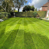 EverGreen™ Hybrid Grass Seeds – Lush, Dense & Low-Maintenance Lawn in Just Days