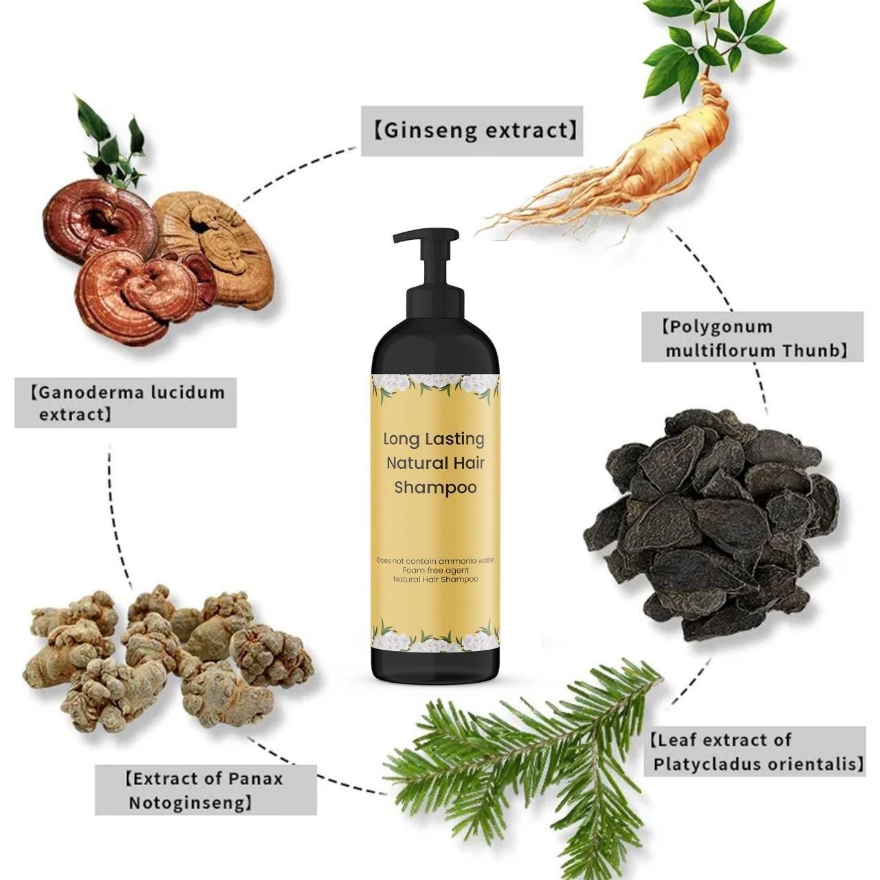 Long Lasting Natural Hair Dye Shampoo – Advanced Grey Coverage Formula (Pack of 3) - Ankaa Store